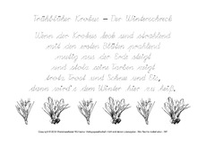 Frühblüher Krokus-SAS.pdf